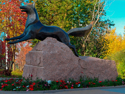 Памятник «Чёрный лис». У входа в историко-культурный центр «Старый Сургут» расположился памятник гербовому символу города – Черному лису. Скульптура была создана по мотивам мифа о благородном небесном всаднике, который в образе лиса спустился с небес к жителям сургутской земли и стал ее покровителем. Кстати, изначально перевоплощенный в лиса всадник был красным, и свой черный окрас он приобрел после страшного пожара.